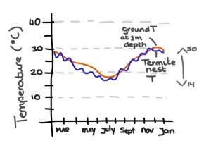 Nest temparature (blue) and ground temperature at 1m depth near nest (red)