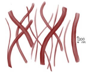Chitin-protein fibers are woven into a matrix.