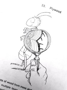 Characteristic Figure from "Insects Did It 1st" book by Akre, Paulson and Catts. Illustration by E. Paul Catts.